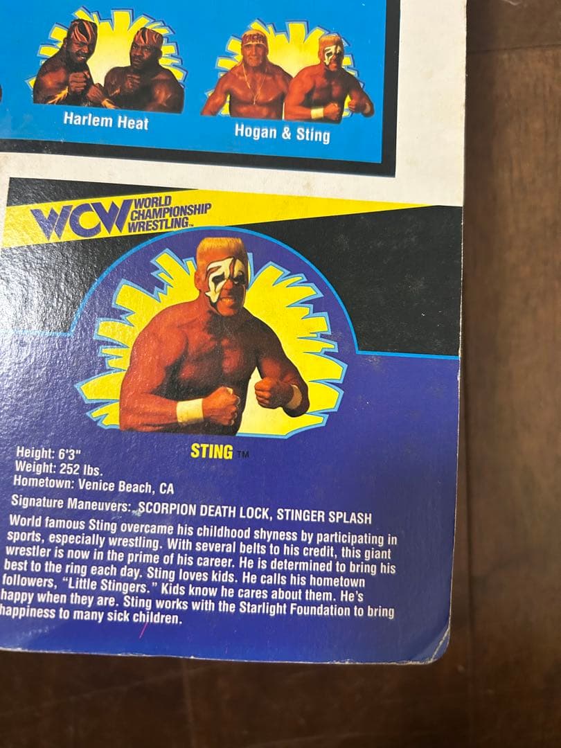 WCW スティング　コレクティブルフィギュア