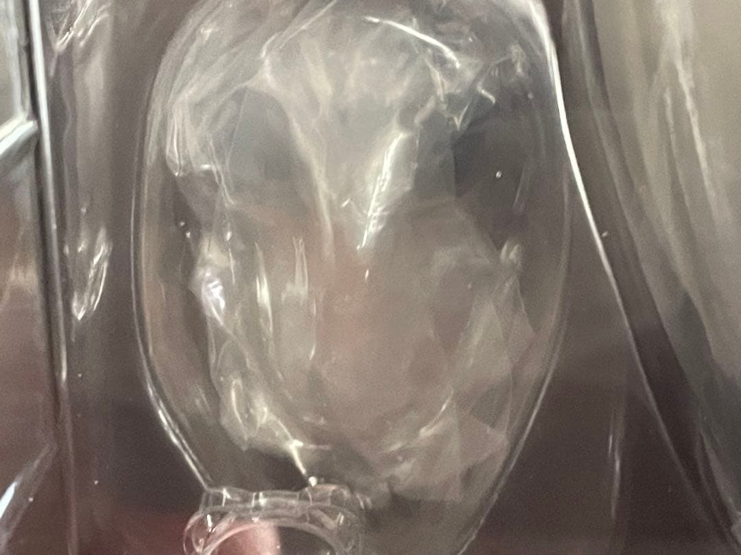 未開封 特典付き ジョナサン & ディオ センチネル フィギュア