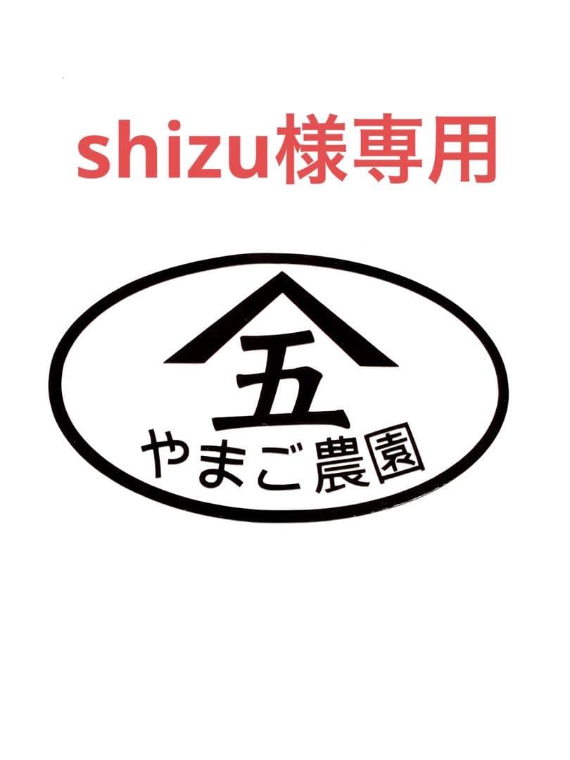 果物 216 shizu
