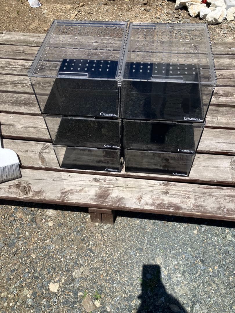 クリアネス　レプタイルケース　6個　RC-250