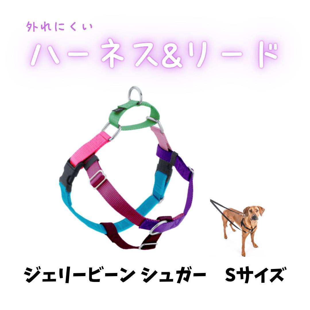 引っ張り防止 犬用ハーネス リード付き Sサイズ カラフル