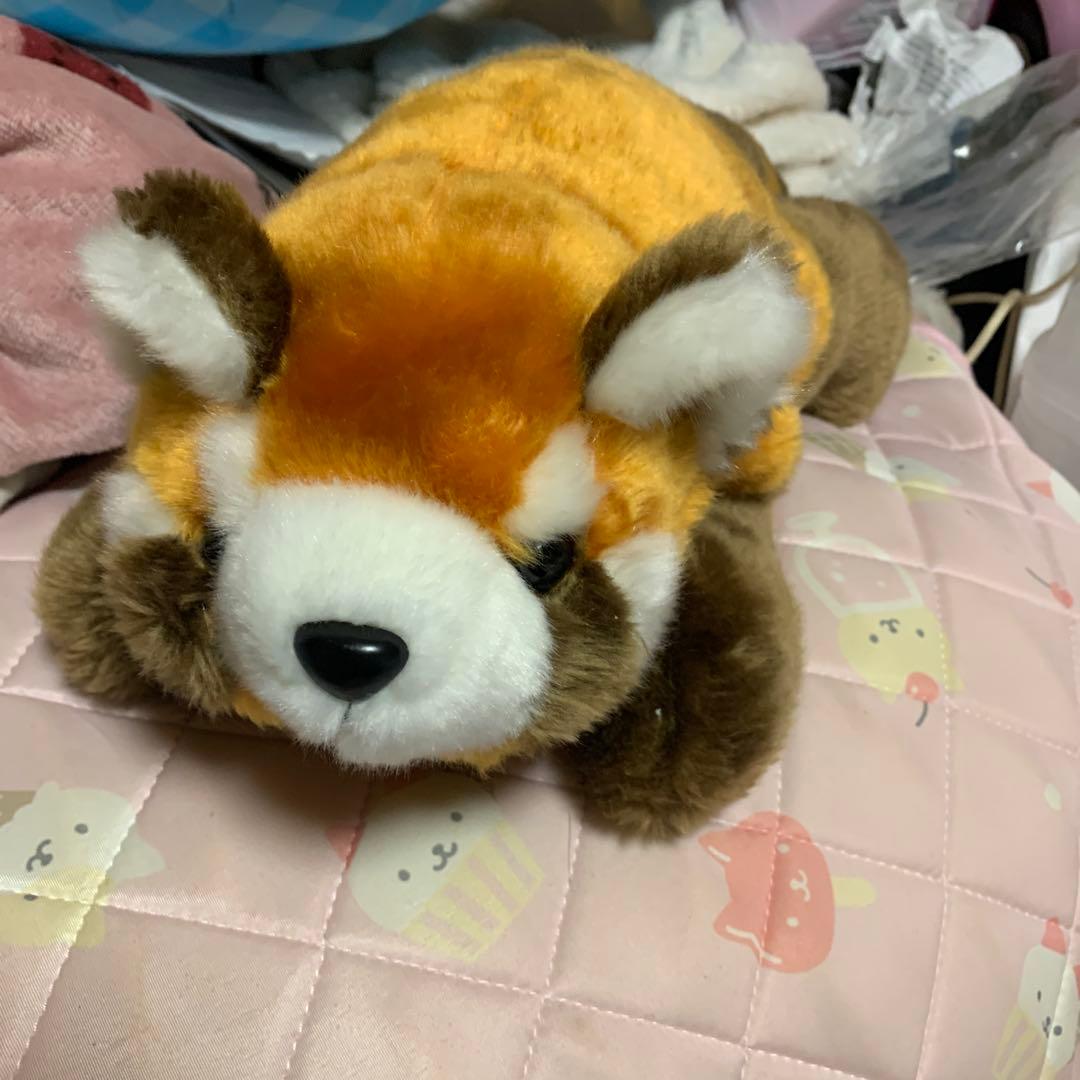 レッサーパンダ ぬいぐるみ 中型