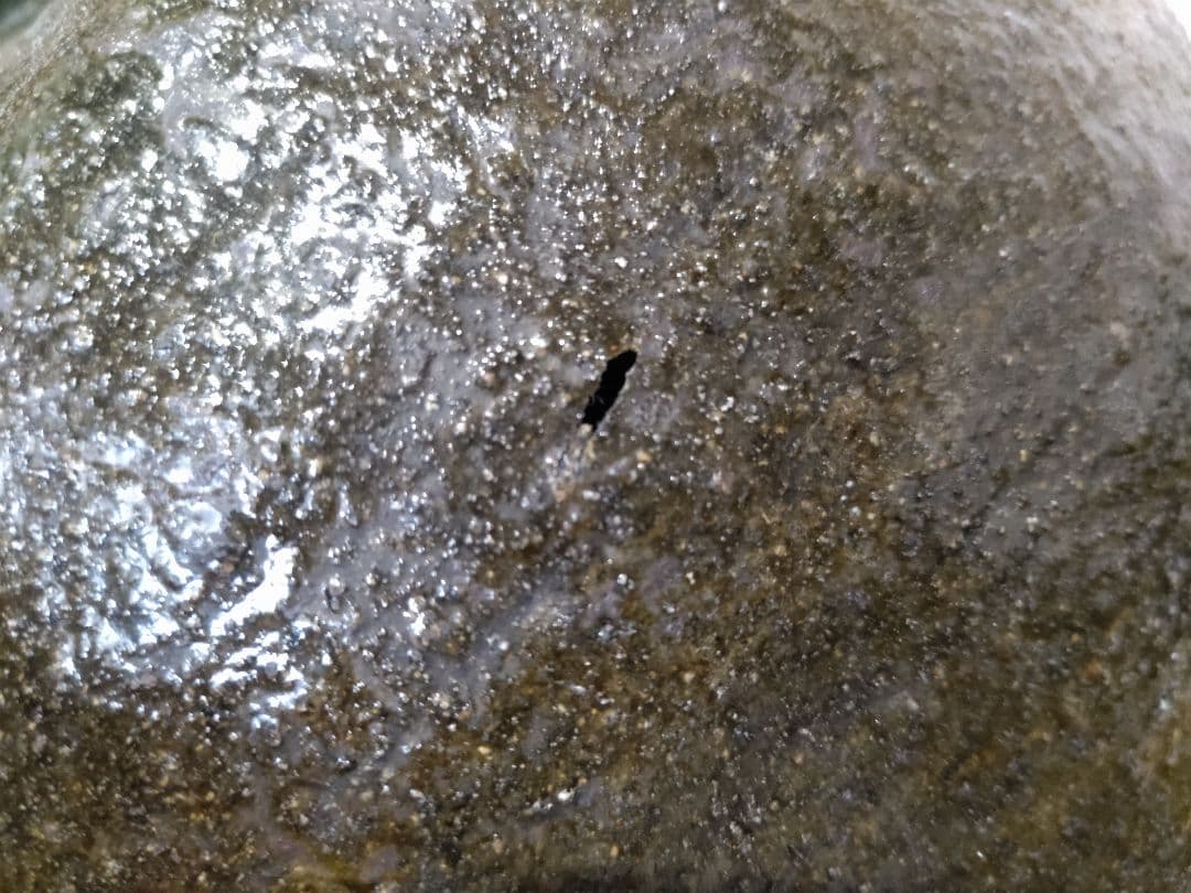 古唐津　叩き唐津　四耳壷　高26㎝　極薄作り1691ｇ