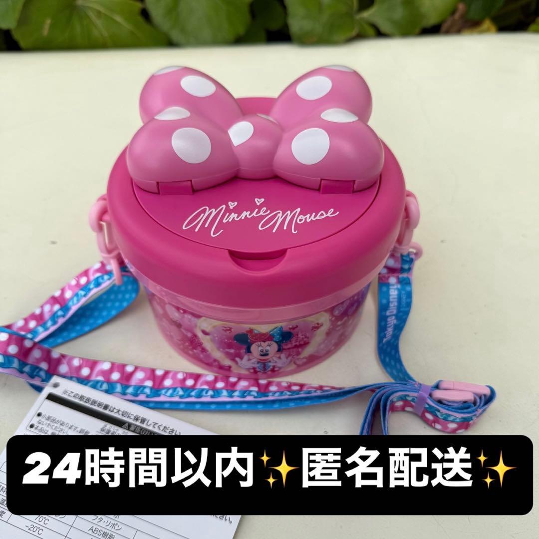 ディズニーランド　パルパルーザ　ミニーのファンダーランド　ポップコーンバケット