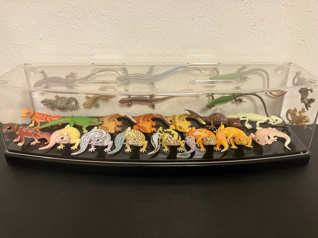 ネイチャーテクニカラー　トカゲ　ヤモリ大全　ガチャガチャ