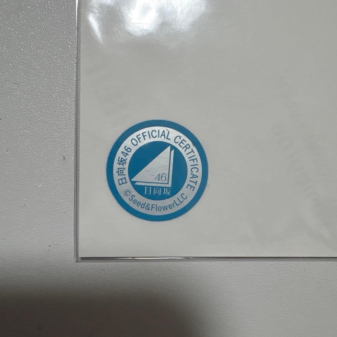 松田好花 日向坂46 OTR ライブ 生写真 直筆サイン