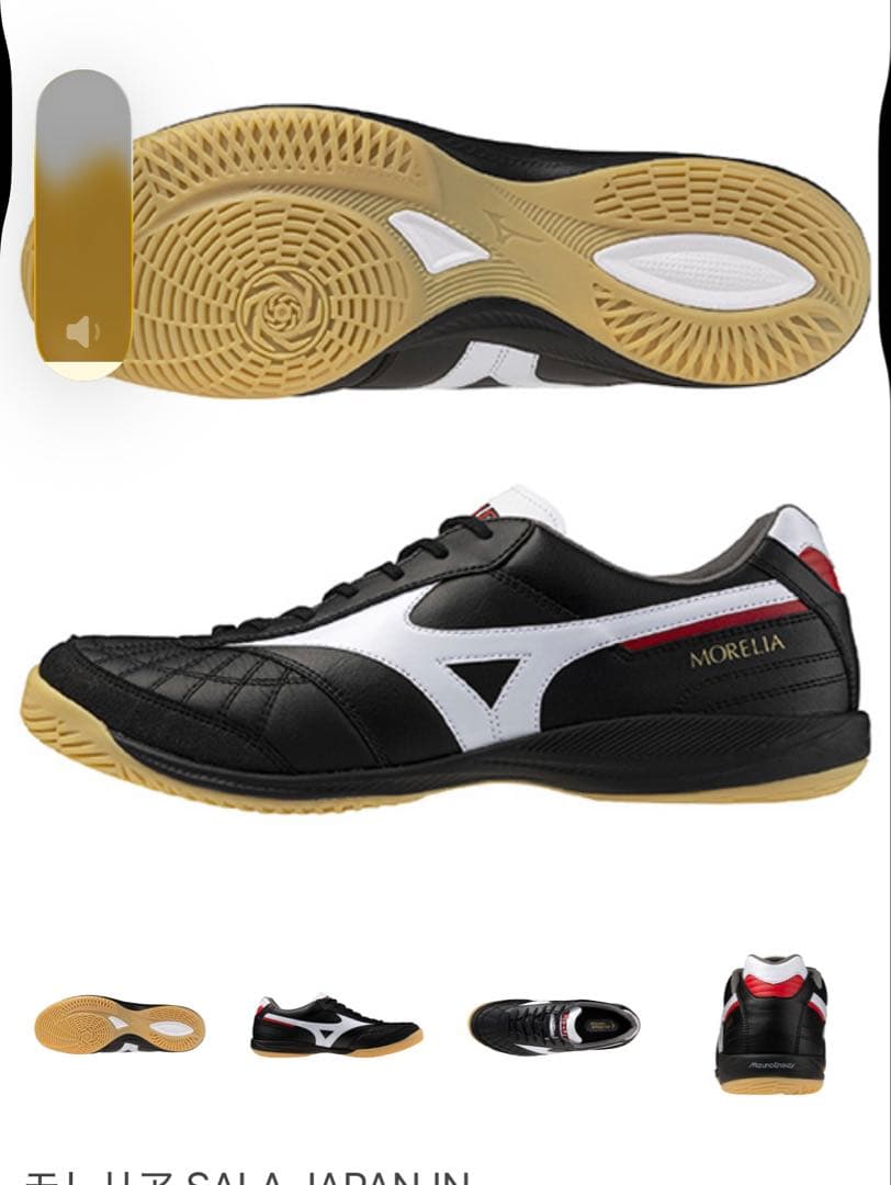 モレリア　サラ　ジャパン　イン