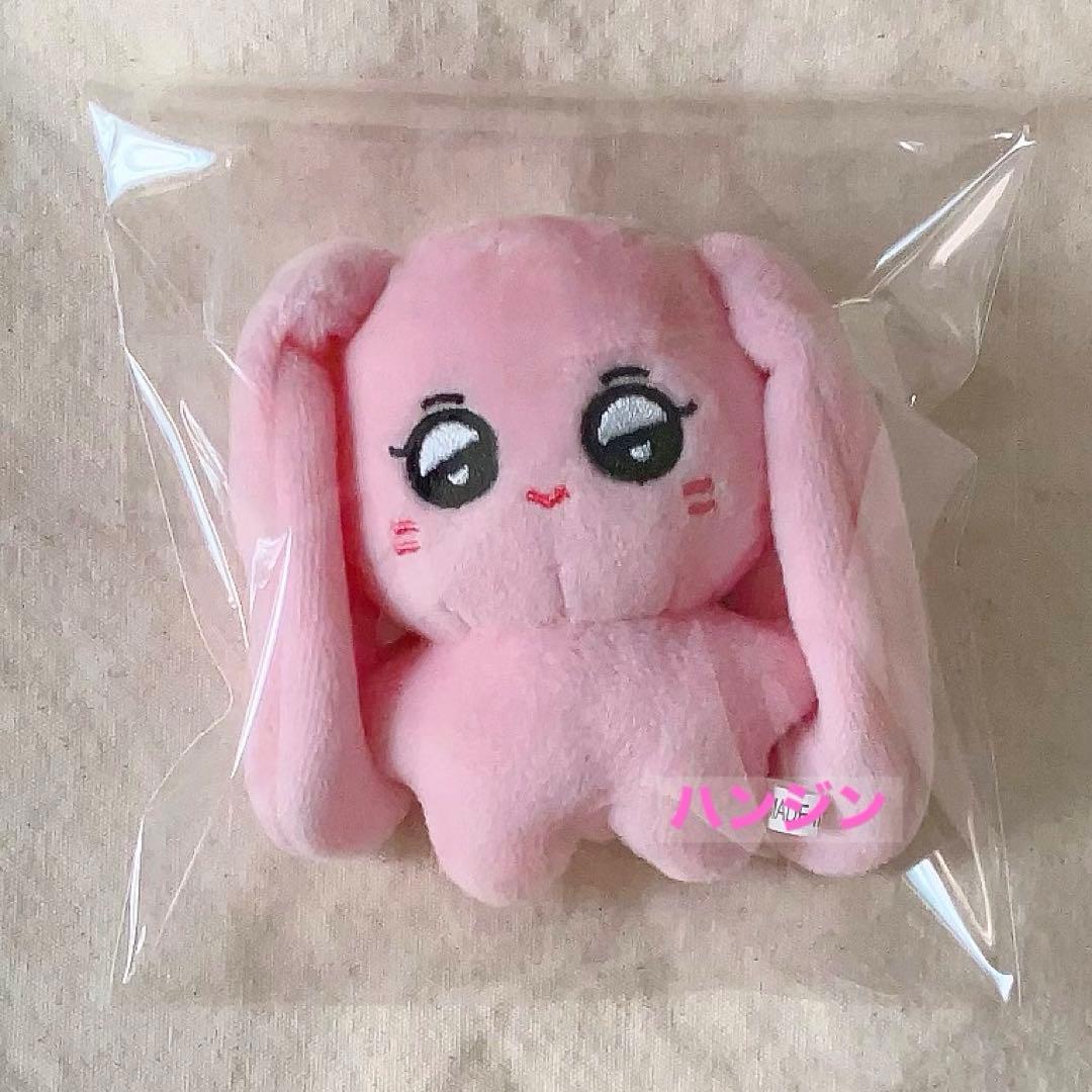 ハンジン 10cm ドール tws ちびぐるみ マスター 新品未使用hanjin