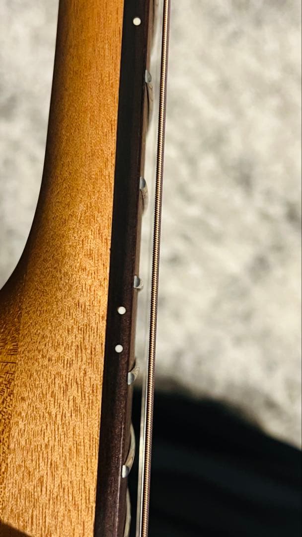 LAG エレアコ　スプルース　T70DCE-NAT