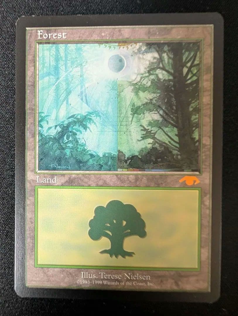 Guruランド グルランド 森