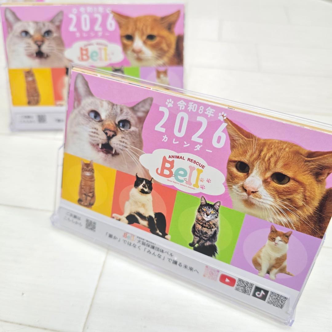 ③《猫》 卓上チャリティーカレンダー10枚セット