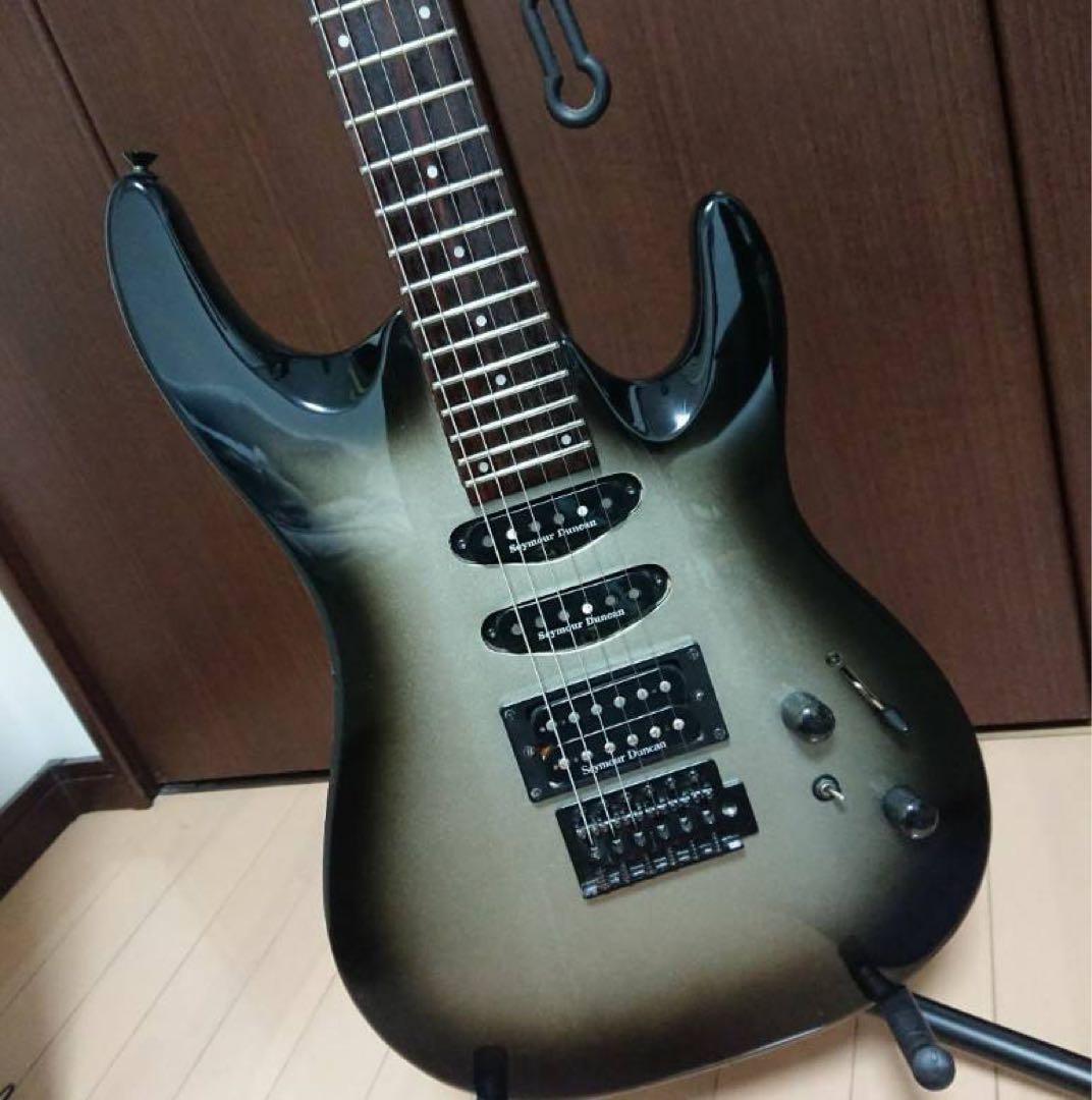 エレキギター【AriProⅡ MAGNA series】