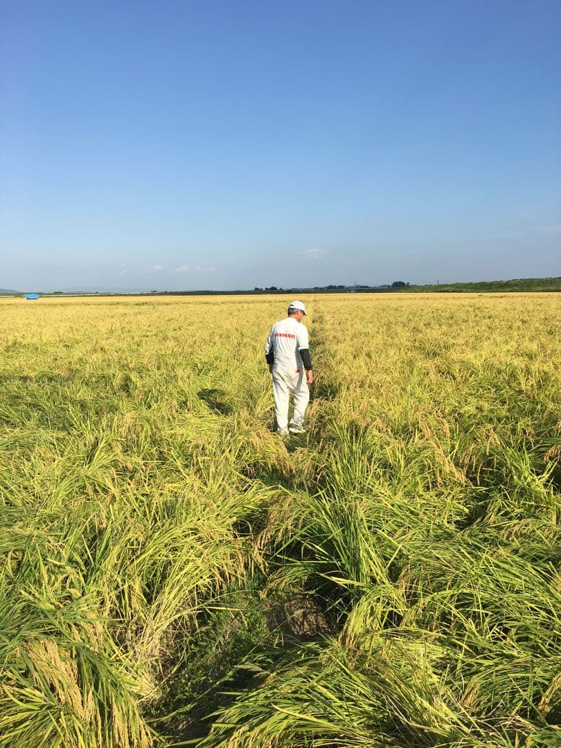 特殊農法⭐︎新米つや姫⭐︎宮城県産⭐︎