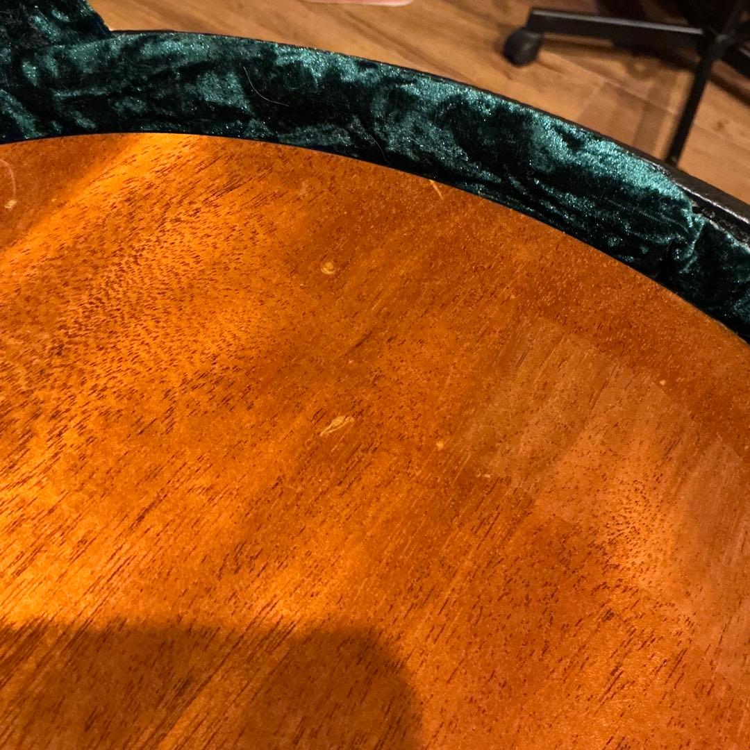 Vox Virage DC Custom “Butterfly”