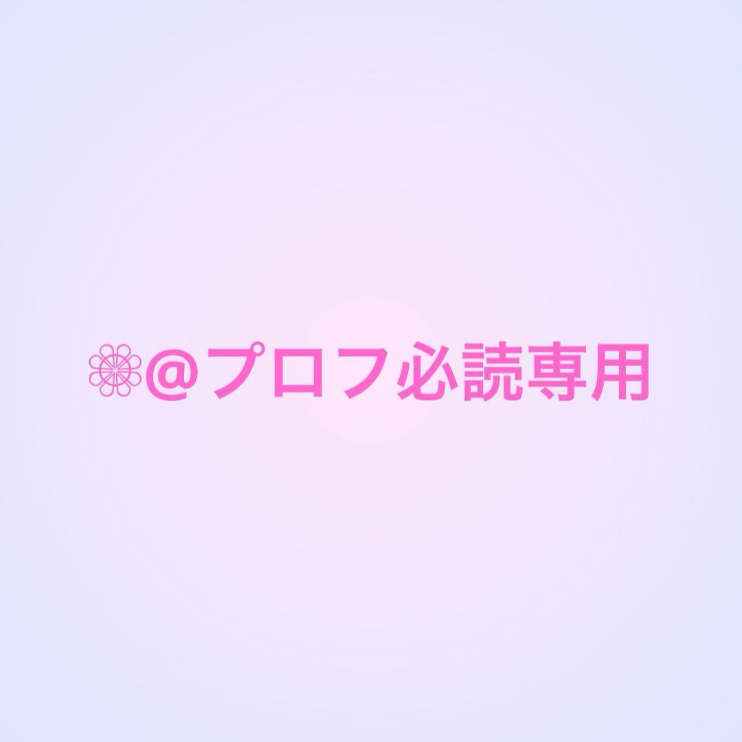 ❁⃘@プロフ必読