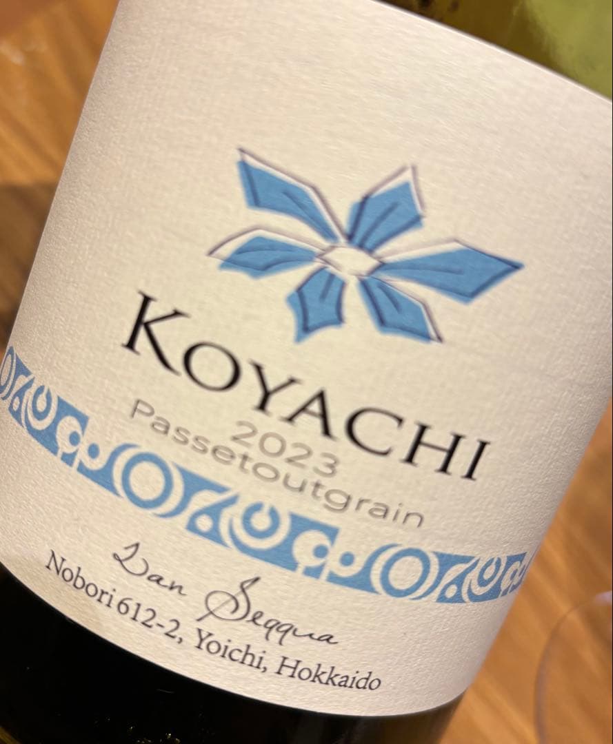 KOYACHI 2023 2本（ランセッカ）