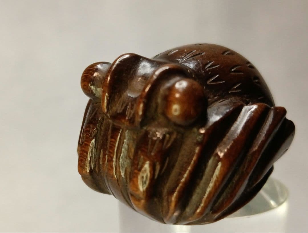 柘植彫 根付 「伊勢海老」 江戸時代