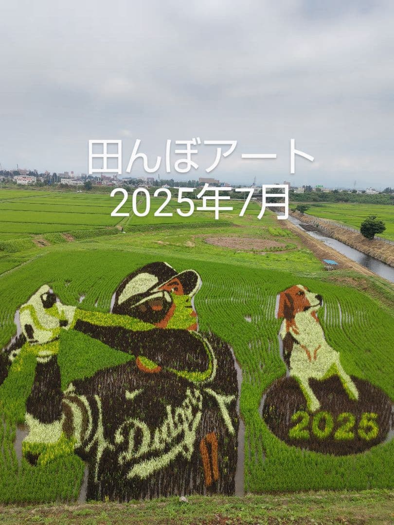 純粋はちみつ　日本蜜蜂の百花蜜　1年熟成　550ｇ✕4本（2.2kg）