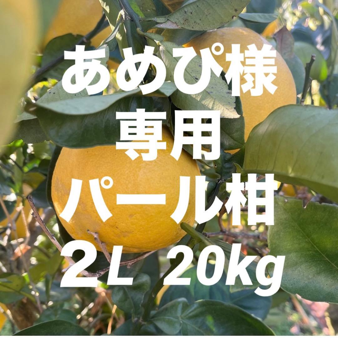あめぴパール柑２L20kg