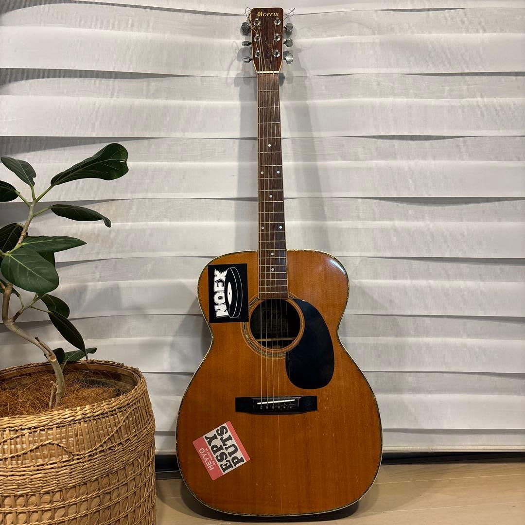 Morris モーリス FD-20 1975 アコースティックギター