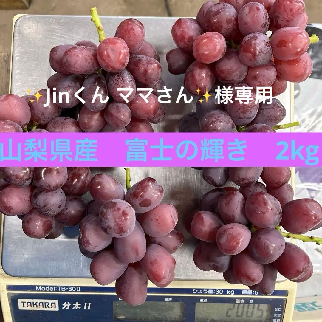 ✨Jinくん ママさん✨ 山梨県産　富士の輝き　シャイン　我が道