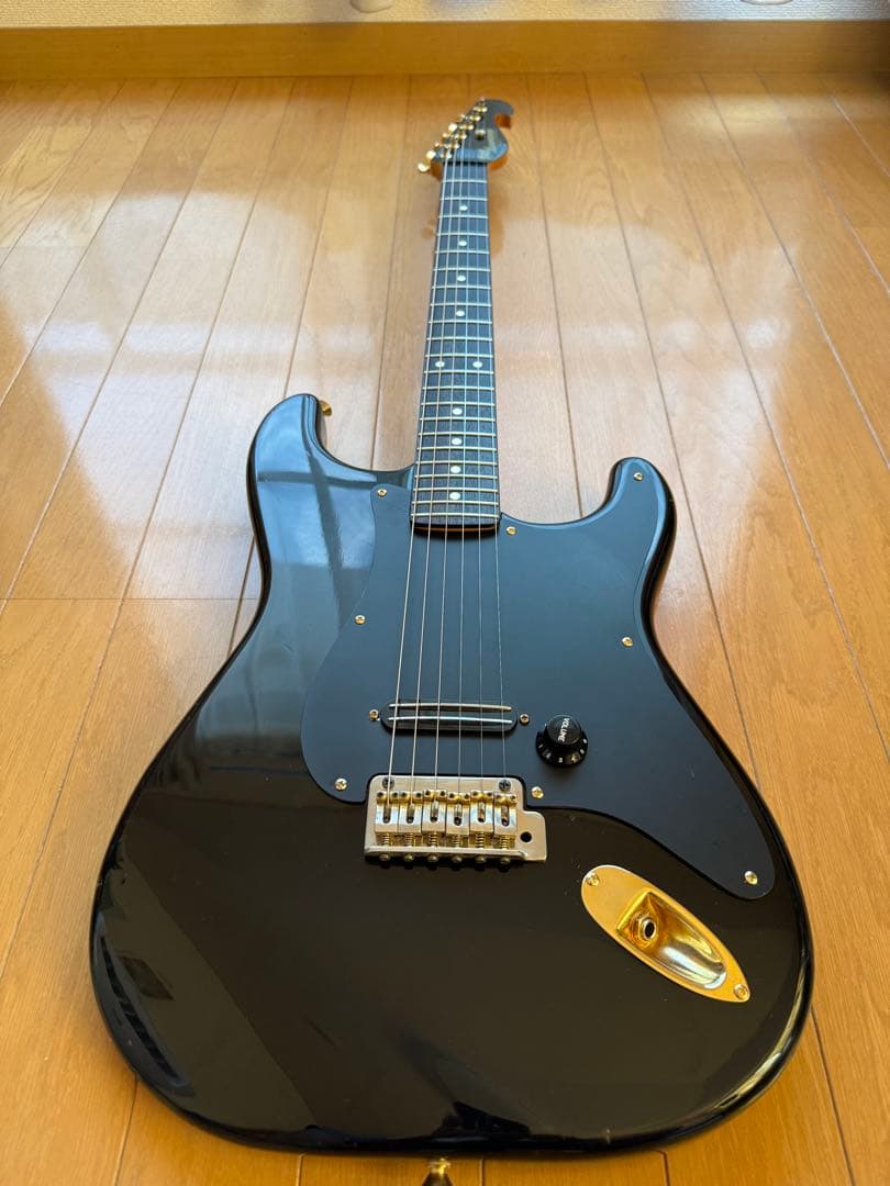 ✨レア美品中古✨Bill Lawrence OBC0 R-55G改 シャケモデル