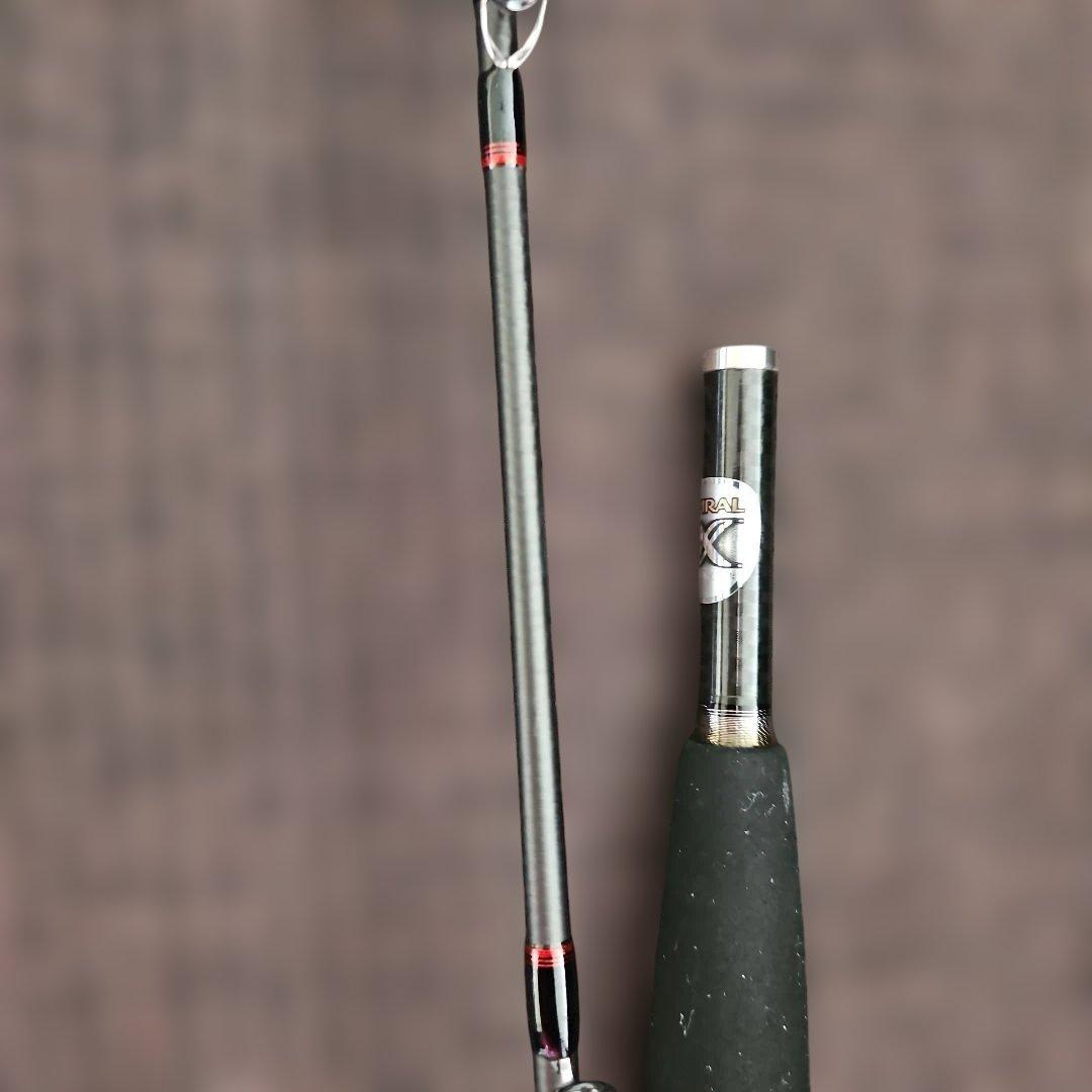 タチウオ専用 LIGHT GAME C14 H200 73:3