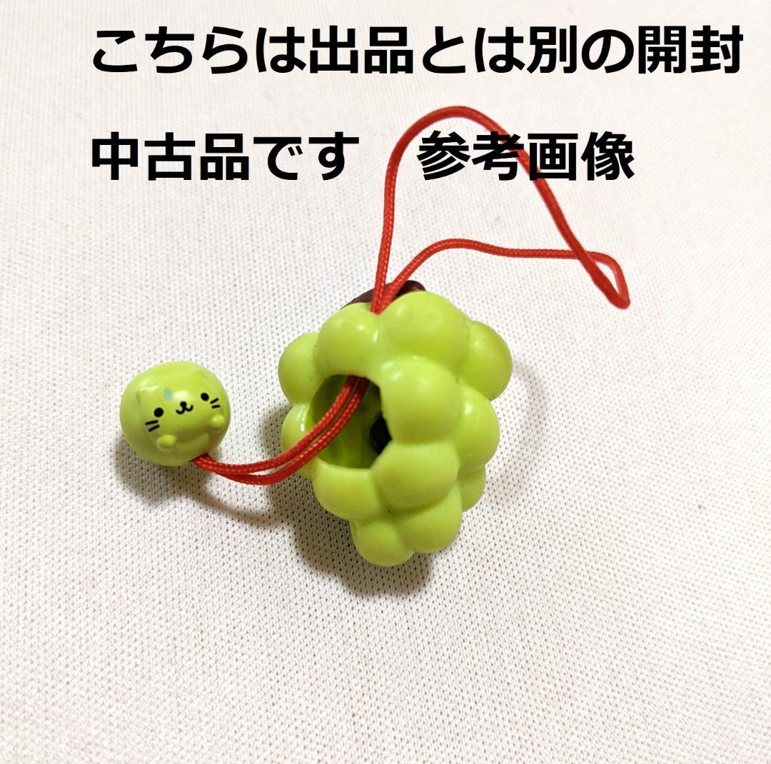 ■にゃんにゃんにゃんこ■おきがえにゃんこ　にゃんこツアー　５点セット