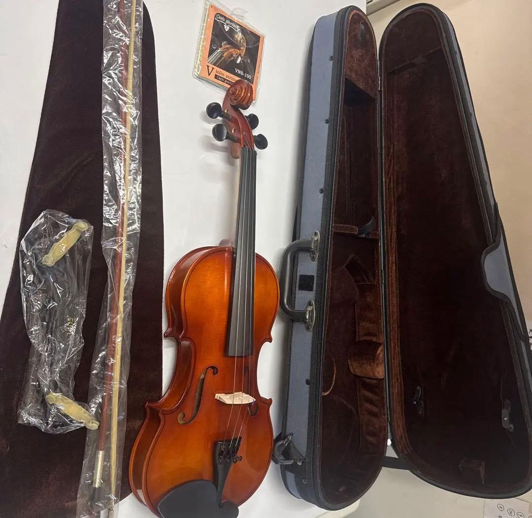 Carlo Giordano バイオリン 4/4 フルサイズ セット