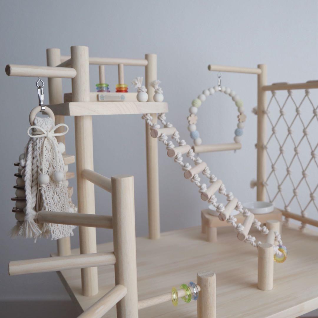 ことりのおおきなあそびば　インコ　バードジム　バードアスレチック　ブランコ