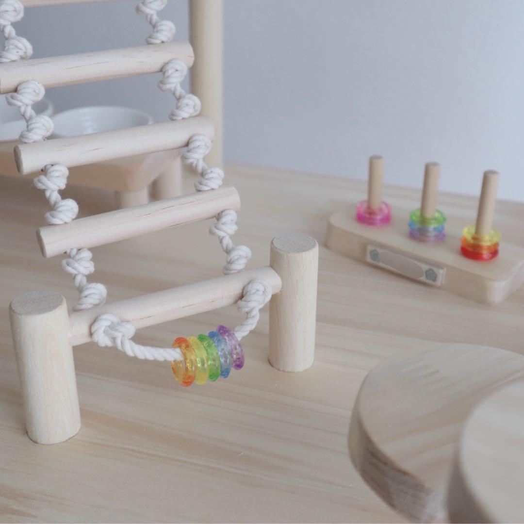 ことりのおおきなあそびば　インコ　バードジム　バードアスレチック　ブランコ