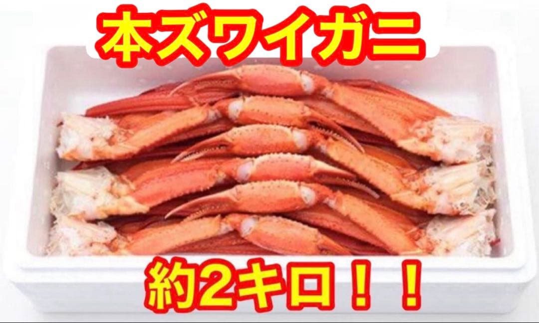 【大満足実入り抜群】本ズワイガニ2キロ！早い者勝ち!味良し！実入り良し！塩気良し