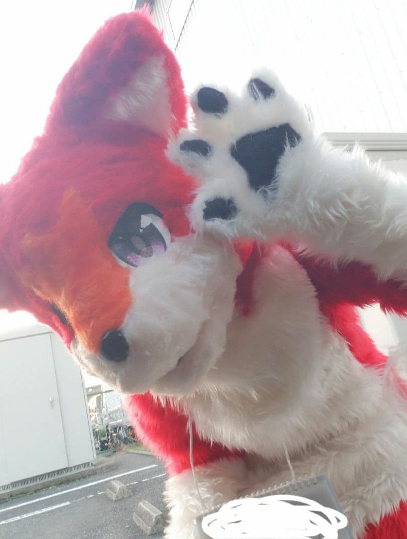 赤犬くん※7/21更新