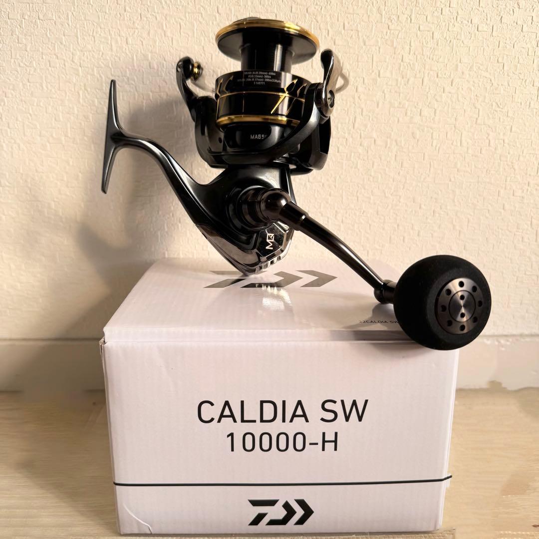 リール DAIWA CALDIA SW 10000-H