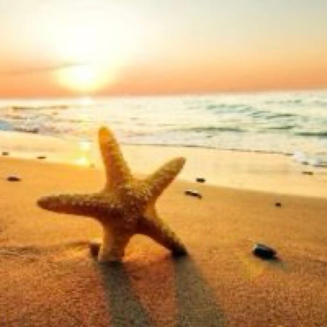 ゆうこりん様 リクエスト商品