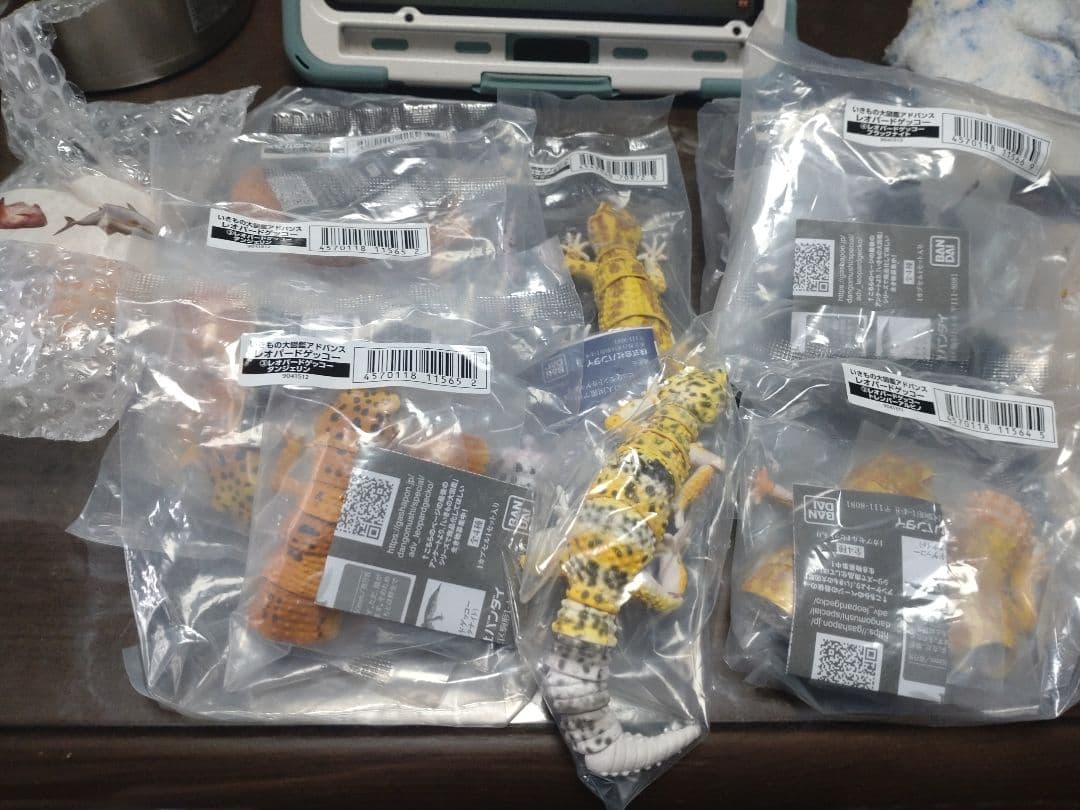 レオパードゲッコー