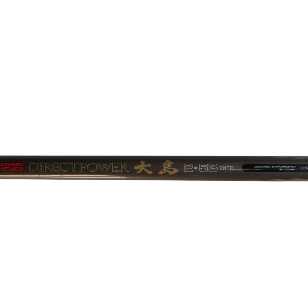 ダイワ　ダイレクトパワー大島　2-53遠投