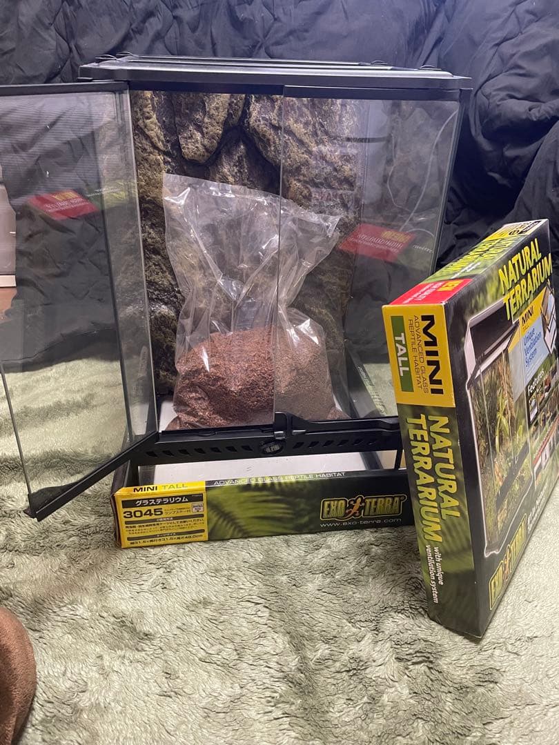 MINI TALL 3045 テラリウムセット　爬虫類　ガラスケース