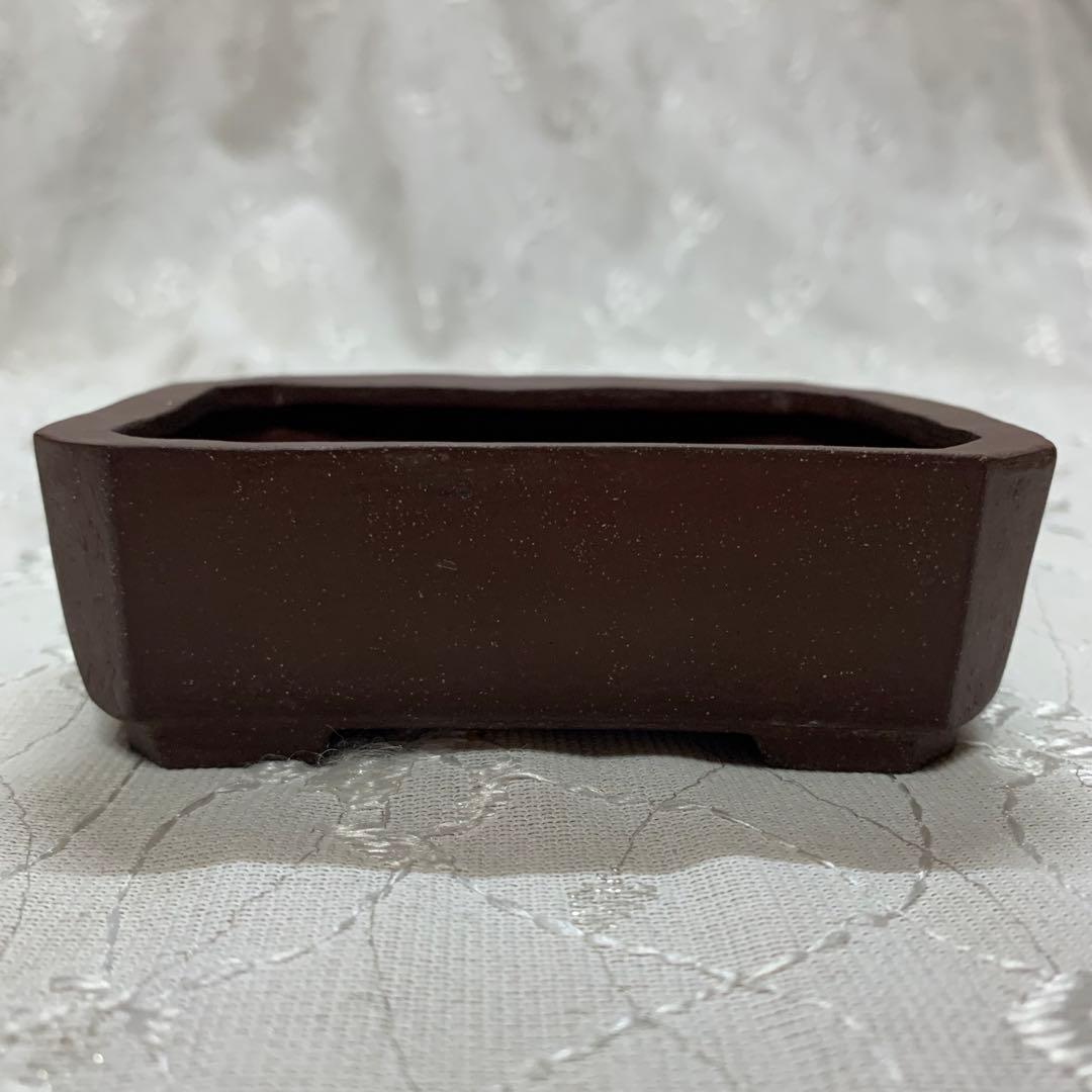 在位五拾周年記念鉢　長方　盆栽鉢