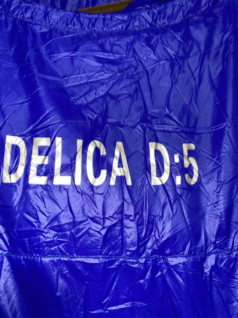 ダウンシュラフ800gColumbiaグースダウンシュラフ コロンビア