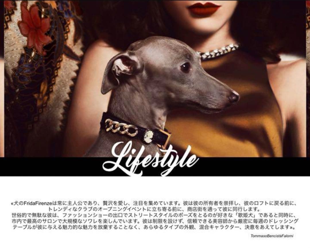 frida Firenze 犬の首輪　犬　ペット　散歩　レザー　赤