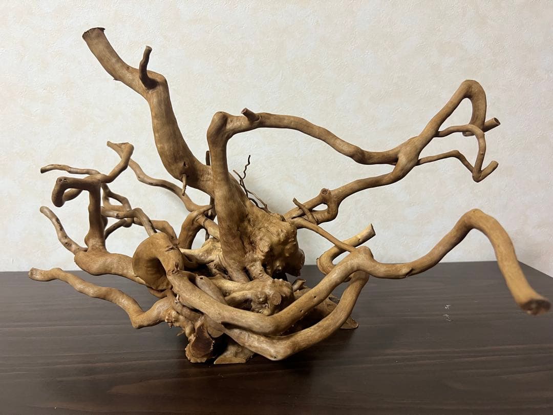 70215 ブランチウッド　流木　アクアリウム　沈水確認済