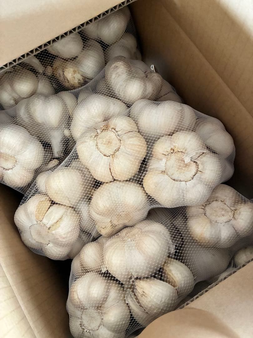 新物　青森県にんにく5Kg2L