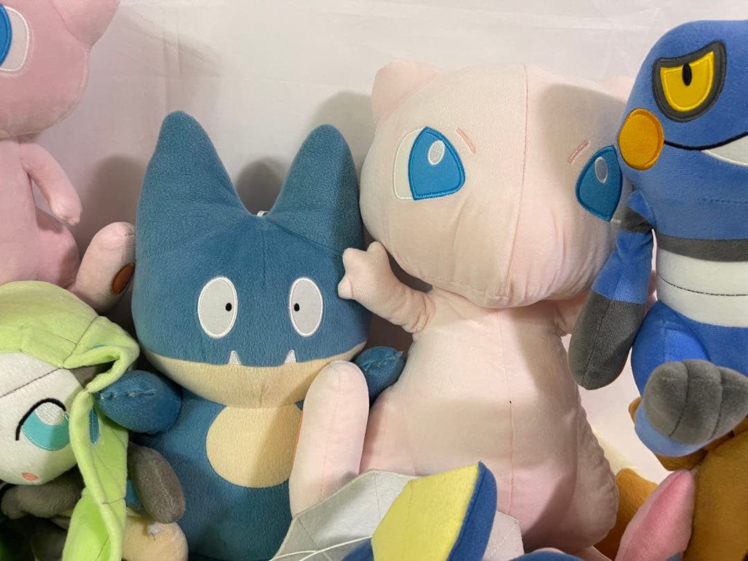 ポケットモンスター　ぬいぐるみ（中〜大）
