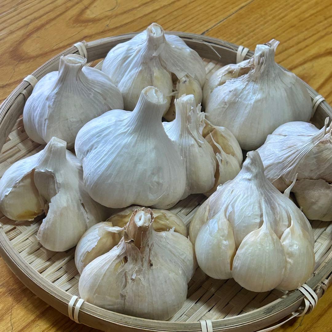 【大特価】青森県産 にんにく L 20kg 福地ホワイト 免疫力アップ 激安