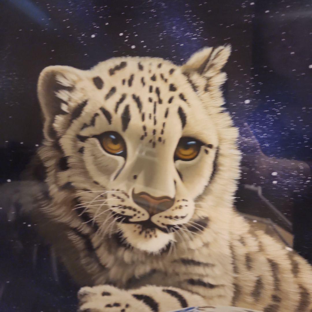 シムシメール　ホワイトタイガー