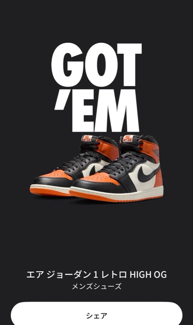 AIR JORDAN 1 RETRO HIGH OG 27.5㎝