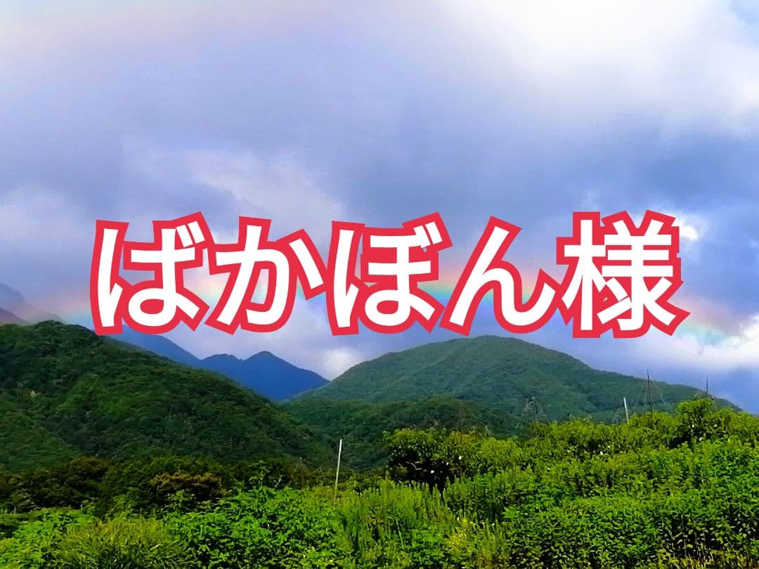 ばかぼん様　枯露柿・干し柿用　渋柿　甲州百目柿　20kg　EM酵母栽培