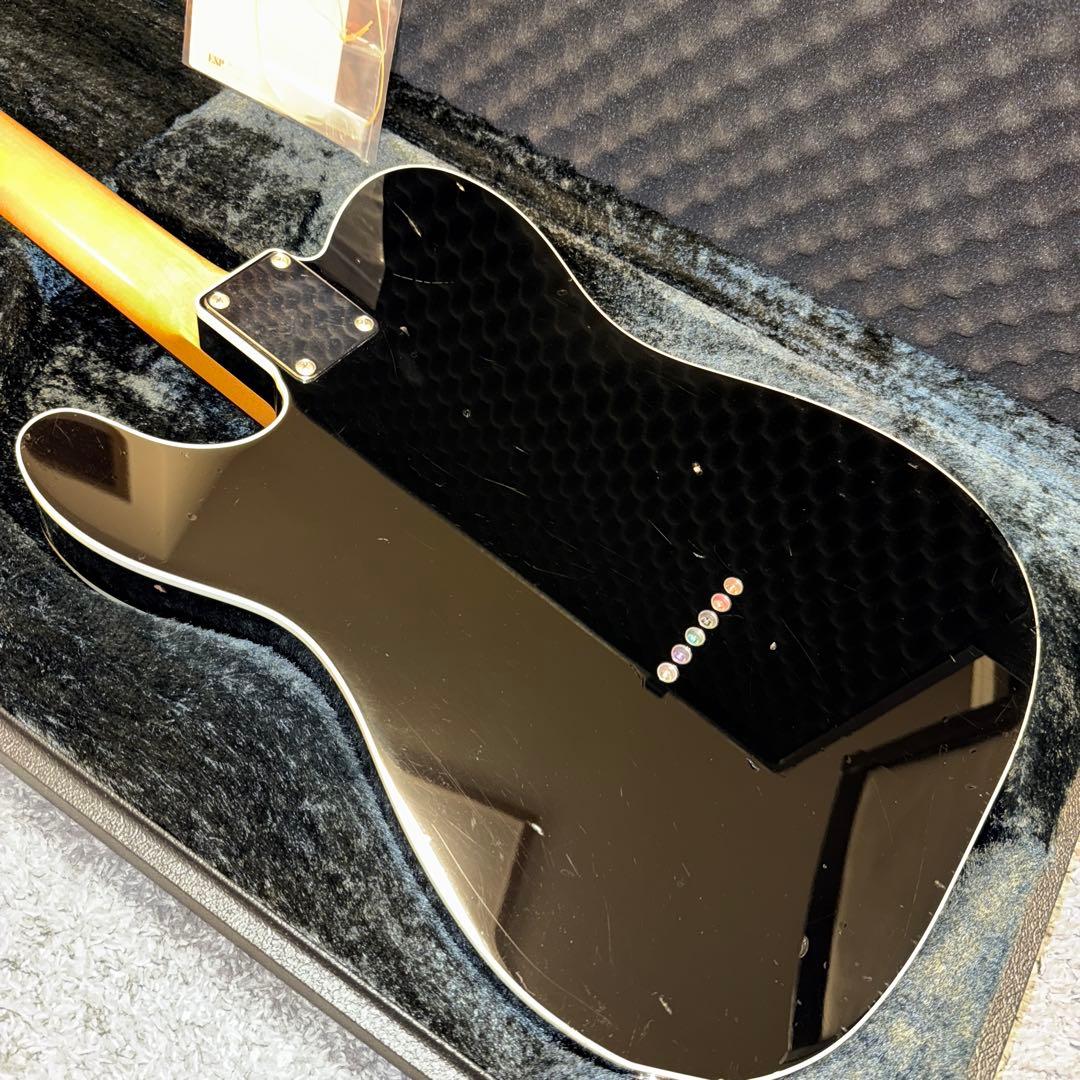 2019年製 ESP Navigator N-TE-CTM / Black