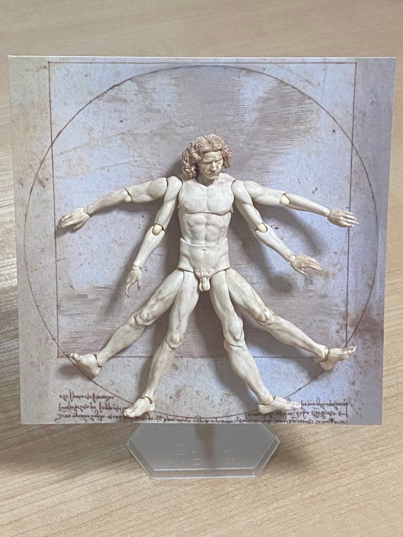 figma テーブル美術館 ダ・ヴィンチ 人体模型 スタンド付き 約30cm